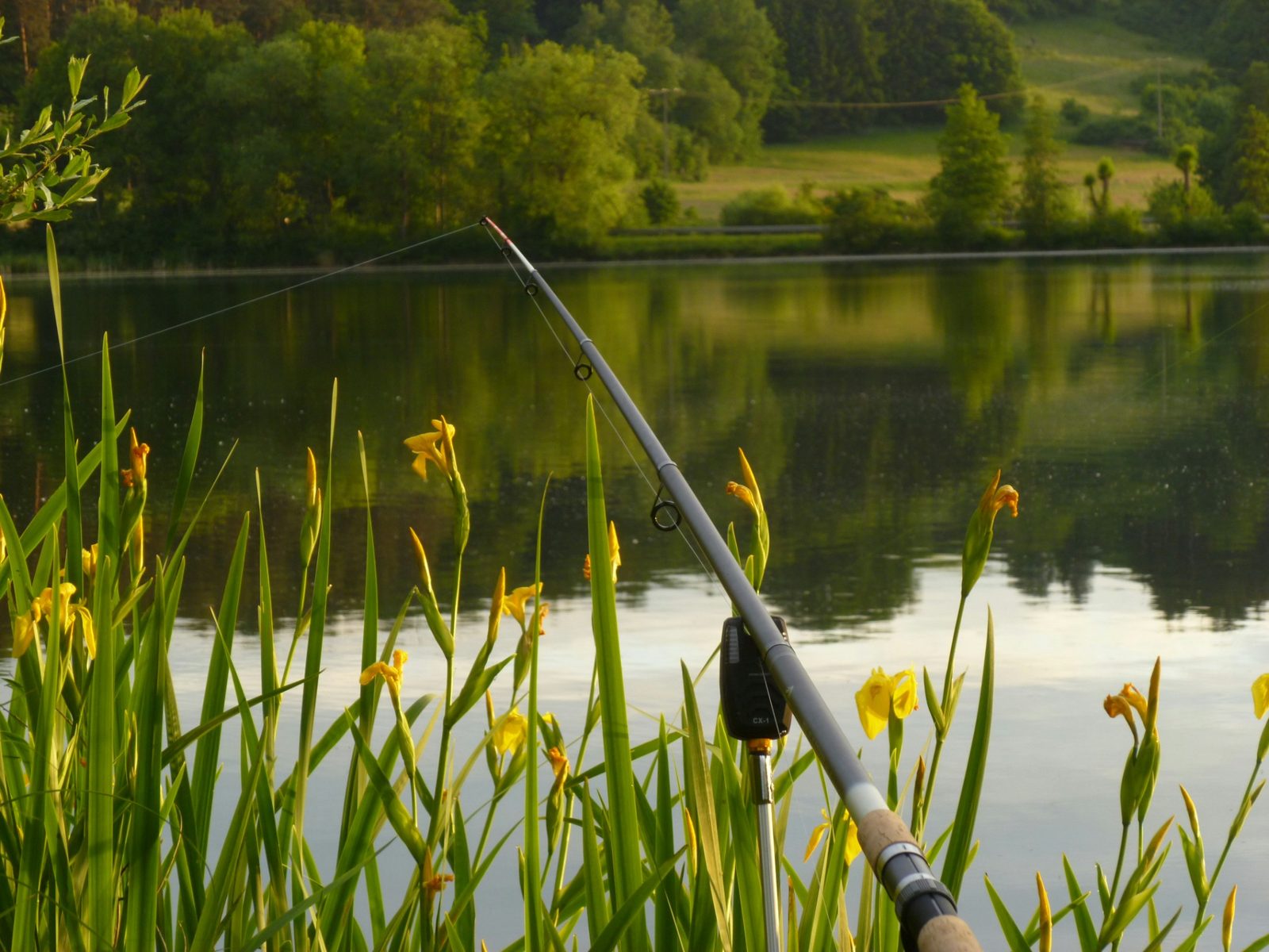 Fishing rod set up beside a day ticket lake