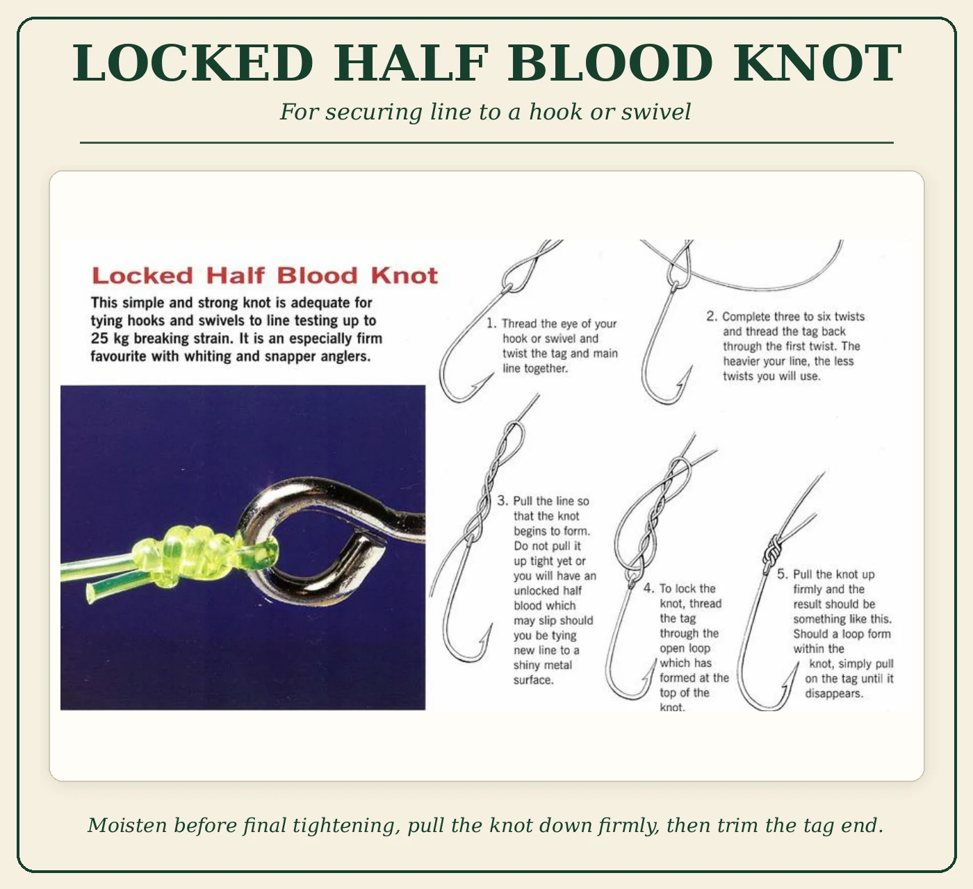 Step-by-step Locked Half Blood Knot diagram