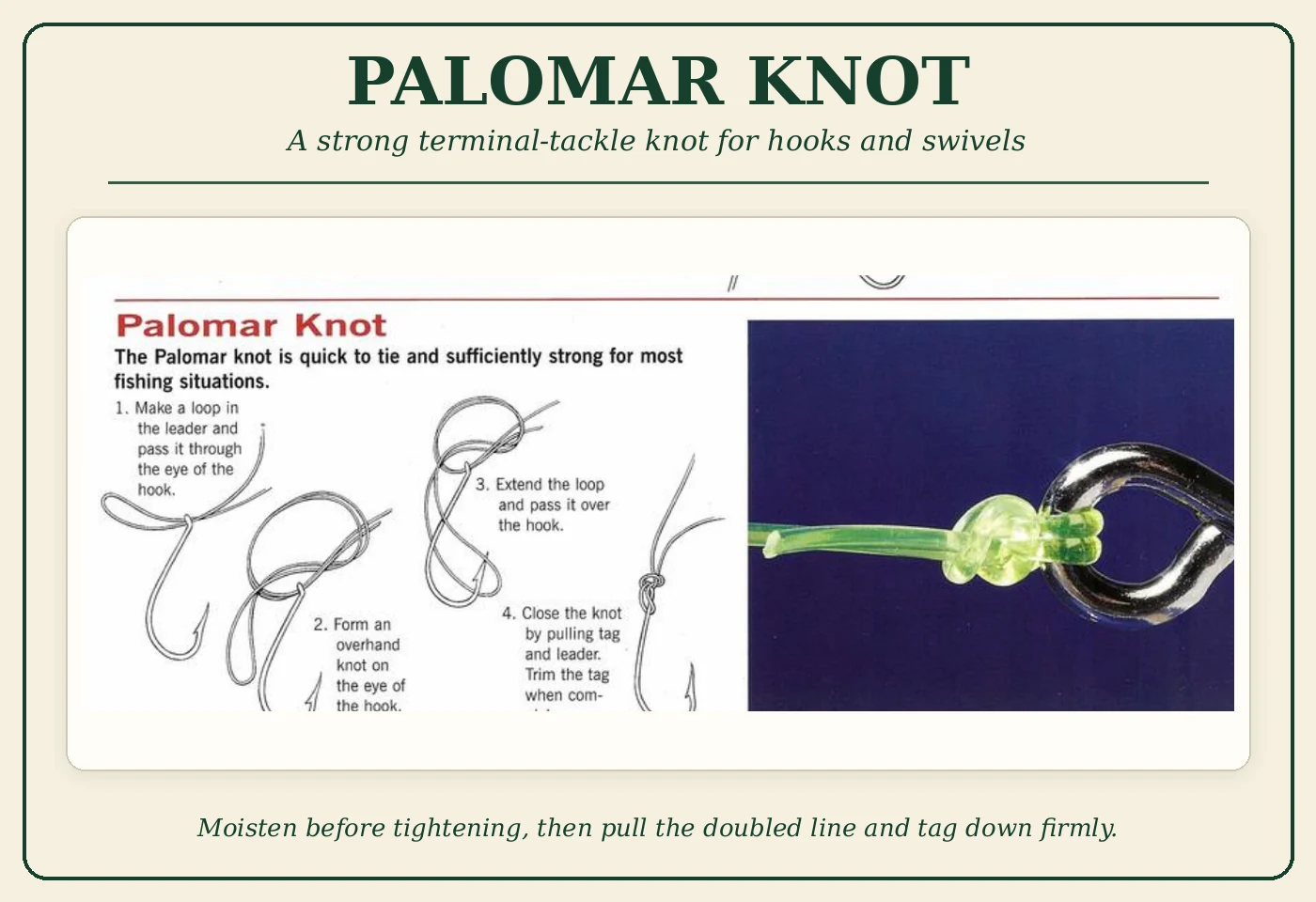 Step-by-step Palomar Knot diagram for attaching terminal tackle