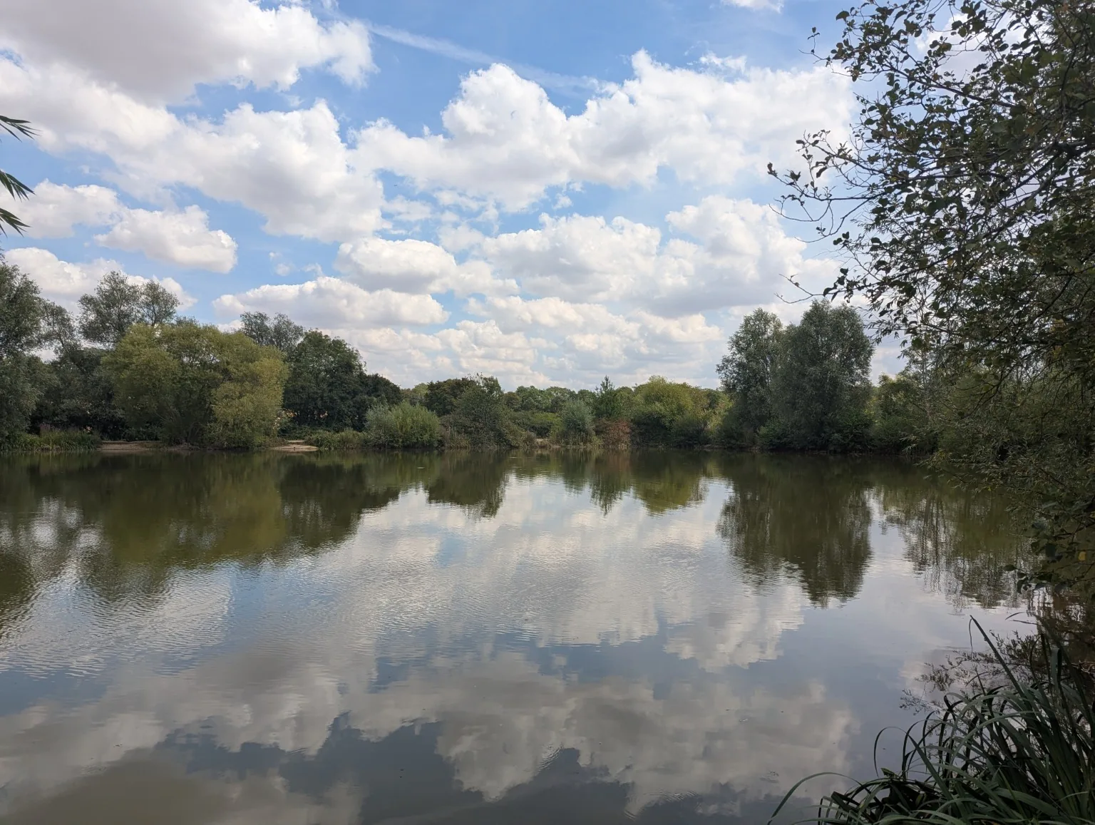 Clavering Fishing Lakes near Saffron Walden in Essex